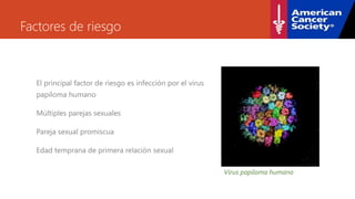 Factores de riesgo
El principal factor de riesgo es infección por el virus
papiloma humano
Múltiples parejas sexuales
Pareja sexual promiscua
Edad temprana de primera relación sexual
Virus papiloma humano
 