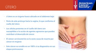 ÚTERO
• El útero es un órgano hueco ubicado en el abdomen bajo
• Parte de este protruye hacia la vagina, lo que conforma el
cuello del útero
• Las células presentes en el cuello del útero son
susceptibles a la acción de agentes agresores que pueden
contribuir al desarrollo de cáncer
• El cáncer cervicouterino es la sexta causa de muerte por
cáncer en mujeres
• Este cáncer es curable en un 100% si se diagnostica en sus
etapas preinvasoras
 