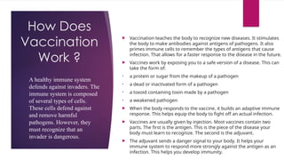 All about DNA RNA Virus and Vaccines.pptx