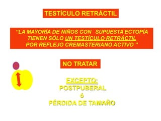 +
“LA MAYORÍA DE NIÑOS CON SUPUESTA ECTOPÍA
TIENEN SÓLO UN TESTÍCULO RETRÁCTIL
POR REFLEJO CREMASTERIANO ACTIVO ”
NO TRATAR
TESTÍCULO RETRÁCTIL
EXCEPTO:
POSTPUBERAL
ó
PÉRDIDA DE TAMAÑO
 
