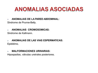  ANOMALIAS DE LA PARED ABDOMINAL:
Síndrome de Prunne-Belly.
 ANOMALIAS CROMOSOMICAS:
Síndrome de Kallmann.
 ANOMALIAS DE LAS VIAS ESPERMATICAS:
Epididimo.
 MALFORMACIONES URINARIAS:
Hipospadias, válvulas uretrales posteriores.
 