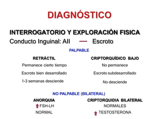 INTERROGATORIO Y EXPLORACIÓN FISICA
Conducto Inguinal: AII Escroto
PALPABLE
RETRÁCTIL
Permanece cierto tiempo
Escroto bien desarrollado
1-3 semanas desciende
CRIPTORQUÍDICO BAJO
No permanece
Escroto subdesarrollado
No desciende
NO PALPABLE (BILATERAL)
ANORQUIA
FSH-LH
NORMAL
CRIPTORQUIDIA BILATERAL
NORMALES
TESTOSTERONA
 