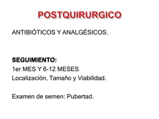 ANTIBIÓTICOS Y ANALGÉSICOS.
SEGUIMIENTO:
1er MES Y 6-12 MESES
Localización, Tamaño y Viabilidad.
Examen de semen: Pubertad.
 