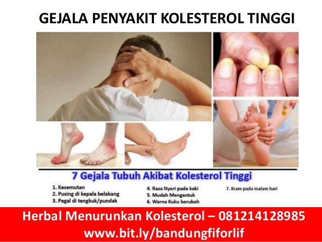 0812 1412 8985 Obat Kolesterol Gejala Kolesterol Cara Menurunkan