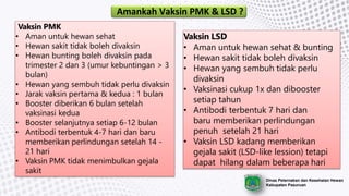 Dinas Peternakan dan Kesehatan Hewan
Kabupaten Pasuruan
Amankah Vaksin PMK & LSD ?
Vaksin PMK
• Aman untuk hewan sehat
• Hewan sakit tidak boleh divaksin
• Hewan bunting boleh divaksin pada
trimester 2 dan 3 (umur kebuntingan > 3
bulan)
• Hewan yang sembuh tidak perlu divaksin
• Jarak vaksin pertama & kedua : 1 bulan
• Booster diberikan 6 bulan setelah
vaksinasi kedua
• Booster selanjutnya setiap 6-12 bulan
• Antibodi terbentuk 4-7 hari dan baru
memberikan perlindungan setelah 14 -
21 hari
• Vaksin PMK tidak menimbulkan gejala
sakit
Vaksin LSD
• Aman untuk hewan sehat & bunting
• Hewan sakit tidak boleh divaksin
• Hewan yang sembuh tidak perlu
divaksin
• Vaksinasi cukup 1x dan dibooster
setiap tahun
• Antibodi terbentuk 7 hari dan
baru memberikan perlindungan
penuh setelah 21 hari
• Vaksin LSD kadang memberikan
gejala sakit (LSD-like lession) tetapi
dapat hilang dalam beberapa hari
 