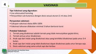 4
Tipe Vaksinasi yang digunakan:
 Live attenuated homolog
 Penyuntikan sub-kutaneus dengan dosis sesuai aturan (1 ml atau 2ml)
Persyaratan vaksinasi:
 Cakupan vaksinasi diatas 80%-100%
 Vaksinasi tahunan dilakukan minimal 3 tahun berturut-turut
Protokol Vaksinasi:
1. Ternak yang divaksinasi adalah ternak yang tidak menunjukkan gejala klinis;
2. Ternak semua umur divaksinasi;
3. Anak sapi dari induk yang divaksinasi atau yang terinfeksi divaksinasi pada umur 3-4
bulan;
4. Anak sapi dari induk yang tidak divaksinasi dapat divaksinasi pada umur berapa saja.
5. Dosis vaksinasi yang sama untuk sapi dan kerbau
VAKSINASI
Dinas Peternakan dan Kesehatan Hewan
Kabupaten Pasuruan
 