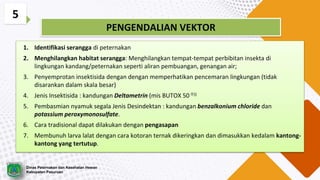 5
PENGENDALIAN VEKTOR
1. Identifikasi serangga di peternakan
2. Menghilangkan habitat serangga: Menghilangkan tempat-tempat perbibitan insekta di
lingkungan kandang/peternakan seperti aliran pembuangan, genangan air;
3. Penyemprotan insektisida dengan dengan memperhatikan pencemaran lingkungan (tidak
disarankan dalam skala besar)
4. Jenis Insektisida : kandungan Deltametrin (mis BUTOX 50))
5. Pembasmian nyamuk segala Jenis Desindektan : kandungan benzalkonium chloride dan
potassium peroxymonosulfate.
6. Cara tradisional dapat dilakukan dengan pengasapan
7. Membunuh larva lalat dengan cara kotoran ternak dikeringkan dan dimasukkan kedalam kantong-
kantong yang tertutup.
Dinas Peternakan dan Kesehatan Hewan
Kabupaten Pasuruan
 