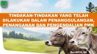 TINDAKAN-TINDAKAN YANG TELAH
DILAKUKAN DALAM PENANGGULANGAN,
PENANGANAN DAN PENGENDALIAN PMK
 