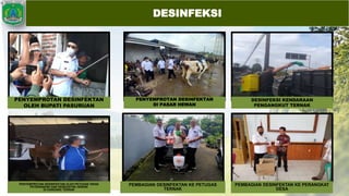DESINFEKSI
PENYEMPROTAN DESINFEKTAN
OLEH BUPATI PASURUAN
PENYEMPROTAN DESINFEKTAN OLEH PETUGAS DINAS
PETERNAKAN DAN KESEHATAN HEWAN
DI KANDANG TERNAK
DESINFEKSI KENDARAAN
PENGANGKUT TERNAK
PENYEMPROTAN DESINFEKTAN
DI PASAR HEWAN
PEMBAGIAN DESINFEKTAN KE PERANGKAT
DESA
PEMBAGIAN DESINFEKTAN KE PETUGAS
TERNAK
 