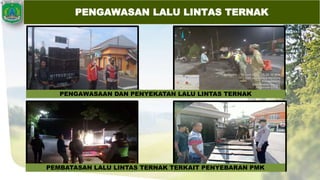 PENGAWASAN LALU LINTAS TERNAK
PENGAWASAAN DAN PENYEKATAN LALU LINTAS TERNAK
PEMBATASAN LALU LINTAS TERNAK TERKAIT PENYEBARAN PMK
 