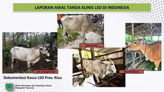 LAPORAN AWAL TANDA KLINIS LSD DI INDONESIA
Dokumentasi Kasus LSD Prov. Riau
Kab. Indragiri Hulu
Kota Dumai
Kab. Pelalawan
Dinas Peternakan dan Kesehatan Hewan
Kabupaten Pasuruan
 