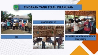 KIE
VAKSINASI LSD
TINDAKAN YANG TELAH DILAKUKAN
PEMBERIAN VITAMIN PASCA
VAKSINASI
 