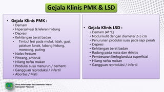Gejala Klinis PMK & LSD
• Gejala Klinis PMK :
• Demam
• Hipersalivasi & leleran hidung
• Depresi
• Kehilangan berat badan
• Timbul lesi pada mulut, lidah, gusi,
palatum lunak, lubang hidung,
moncong, puting
• Nafas frekuen
• Pincang, ambruk
• Hilang nafsu makan
• Produksi susu menurun / berhenti
• Gangguan reproduksi / infertil
• Abortus / Mati
Dinas Peternakan dan Kesehatan Hewan
Kabupaten Pasuruan
• Gejala Klinis LSD :
• Demam (41°C)
• Nodul kulit dengan diameter 2-5 cm
• Penurunan produksi susu pada sapi perah
• Depresi
• Kehilangan berat badan
• Radang pada mata dan rhinitis
• Pembesaran limfoglandula superfisial
• Hilang nafsu makan
• Gangguan reproduksi / infertil
 