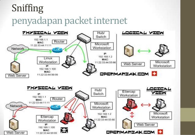 Paparan sosdarkaminfo medan stsn