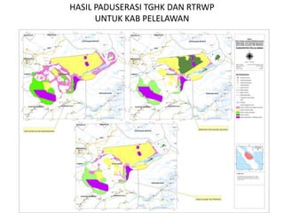 HASIL PADUSERASI TGHK DAN RTRWP
      UNTUK KAB PELELAWAN
 