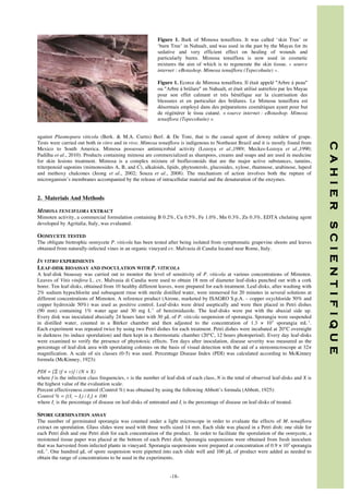 Figure 1. Bark of Mimosa tenuiflora. It was called ‘skin Tree’ or
‘burn Tree’ in Nahualt, and was used in the past by the Mayas for its
sedative and very efficient effect on healing of wounds and
particularly burns. Mimosa tenuiflora is now used in cosmetic
mixtures the aim of which is to regenerate the skin tissue. « source
internet : eBotashop. Mimosa tenuiflora (Tepecohuite) ».
Figure 1. Ecorce de Mimosa tenuiflora. Il était appelé "Arbre à peau"
ou "Arbre à brûlure" en Nahualt, et était utilisé autrefois par les Mayas
pour son effet calmant et très bénéfique sur la cicatrisation des
blessures et en particulier des brûlures. Le Mimosa tenuiflora est
désormais employé dans des préparations cosmétiques ayant pour but
de régénérer le tissu cutané. « source internet : eBotashop. Mimosa
tenuiflora (Tepecohuite) ».

2. Materials And Methods
MIMOSA TENUIFLORA EXTRACT

OOMYCETE TESTED
The obligate biotrophic oomycete P. viticola has been tested after being isolated from symptomatic grapevine shoots and leaves
obtained from naturally-infected vines in an organic vineyard cv. Malvasia di Candia located near Rome, Italy.

IN VITRO EXPERIMENTS
LEAF-DISK BIOASSAY AND INOCULATION WITH P. VITICOLA
A leaf-disk bioassay was carried out to monitor the level of sensitivity of P. viticola at various concentrations of Mimoten.
Leaves of Vitis vinifera L. cv. Malvasia di Candia were used to obtain 18 mm of diameter leaf-disks punched out with a cork
borer. Ten leaf-disks, obtained from 10 healthy different leaves, were prepared for each treatment. Leaf-disks, after washing with
2% sodium hypochlorite and subsequent rinse with sterile distilled water, were immersed for 20 minutes in several solutions at
different concentrations of Mimoten. A reference product (Airone, marketed by ISAGRO S.p.A. – copper oxychloride 50% and
copper hydroxide 50%) was used as positive control. Leaf-disks were dried aseptically and were then placed in Petri dishes
(90 mm) containing 1% water agar and 30 mg L-1 of benzimidazole. The leaf-disks were put with the abaxial side up.
Every disk was inoculated abaxially 24 hours later with 30 μL of P. viticola suspension of sporangia. Sporangia were suspended
in distilled water, counted in a Bürker chamber and then adjusted to the concentration of 1.3 × 105 sporangia mL-1.
Each experiment was repeated twice by using two Petri dishes for each treatment. Petri dishes were incubated at 20°C overnight
in darkness (to induce sporulation) and then kept in a thermostatic chamber (20°C, 12 hours photoperiod). Every day leaf-disks
were examined to verify the presence of phytotoxic effects. Ten days after inoculation, disease severity was measured as the
percentage of leaf-disk area with sporulating colonies on the basis of visual detection with the aid of a stereomicroscope at 32×
magnification. A scale of six classes (0-5) was used. Percentage Disease Index (PDI) was calculated according to McKinney
formula (McKinney, 1923):
PDI = [Σ (f × v)] / (N × X)
where f is the infection class frequencies, v is the number of leaf-disk of each class, N is the total of observed leaf-disks and X is
the highest value of the evaluation scale.
Percent effectiveness control (Control %) was obtained by using the following Abbott’s formula (Abbott, 1925):
Control % = [(Ic − It) / Ic] × 100
where Ic is the percentage of disease on leaf-disks of untreated and It is the percentage of disease on leaf-disks of treated.

SPORE GERMINATION ASSAY
The number of germinated sporangia was counted under a light microscope in order to evaluate the effects of M. tenuiflora
extract on sporulation. Glass slides were used with three wells sized 14 mm. Each slide was placed in a Petri dish: one slide for
each Petri dish and one Petri dish for each concentration of the product. In order to facilitate the sporulation of the oomycete, a
moistened tissue paper was placed at the bottom of each Petri dish. Sporangia suspensions were obtained from fresh inoculum
that was harvested from infected plants in vineyard. Sporangia suspensions were prepared at concentration of 0.9 × 105 sporangia
mL-1. One hundred μL of spore suspension were pipetted into each slide well and 100 μL of product were added as needed to
obtain the range of concentrations to be used in the experiments.

	
  	
  
	
  

-18-

S C I E N T I F I Q U E

Mimoten activity, a commercial formulation containing B 0.2%, Cu 0.5%, Fe 1.0%, Mn 0.3%, Zn 0.3%, EDTA chelating agent
developed by Agritalia, Italy, was evaluated.

C A H I E R

against Plasmopara viticola (Berk. & M.A. Curtis) Berl. & De Toni, that is the causal agent of downy mildew of grape.
Tests were carried out both in vitro and in vivo. Mimosa tenuiflora is indigenous to Northeast Brazil and it is mostly found from
Mexico to South America. Mimosa possesses antimicrobial activity (Lozoya et al.,1989; Meckes-Lozoya et al.,1990;
Padilha et al., 2010). Products containing mimosa are commercialized as shampoos, creams and soaps and are used in medicine
for skin lesions treatment. Mimosa is a complex mixture of bioflavonoids that are the major active substances, tannins,
triterpenoid saponins (mimonosides A, B, and C), alkaloids, lipids, phytosterols, glucosides, xylose, rhamnose, arabinose, lupeol
and methoxy chalcones (Jeong et al., 2002; Souza et al., 2008). The mechanism of action involves both the rupture of
microrganism’s membranes accompanied by the release of intracellular material and the denaturation of the enzymes.

 