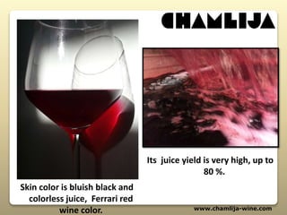 www.chamlija-wine.com
Its juice yield is very high, up to
80 %.
Skin color is bluish black and
colorless juice, Ferrari red
wine color.
 