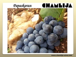 Papaskarası
www.chamlija-wine.com
 