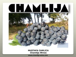 www.chamlija-wine.com
MUSTAFA CAMLICA
Chamlija Wines
 