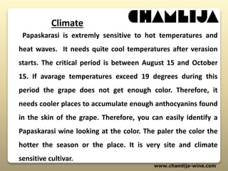 www.chamlija-wine.com
Papaskarasi is extremly sensitive to hot temperatures and
heat waves. It needs quite cool temperatures after verasion
starts. The critical period is between August 15 and October
15. If avarage temperatures exceed 19 degrees during this
period the grape does not get enough color. Therefore, it
needs cooler places to accumulate enough anthocyanins found
in the skin of the grape. Therefore, you can easily identify a
Papaskarasi wine looking at the color. The paler the color the
hotter the season or the place. It is very site and climate
sensitive cultivar.
Climate
 
