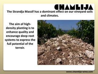 www.chamlija-wine.com
The aim of high-
density planting is to
enhance quality and
encourage deep root
systems to express the
full potential of the
terroir.
The Strandja Massif has a dominant effect on our vineyard soils
and climates.
 