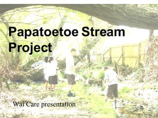 Papatoetoe Stream Project – Wai Care presentation Papatoetoe Stream Project  Wai Care presentation 