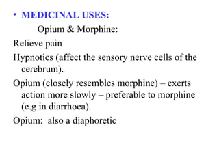 • MEDICINAL USES:
Opium & Morphine:
Relieve pain
Hypnotics (affect the sensory nerve cells of the
cerebrum).
Opium (closely resembles morphine) – exerts
action more slowly – preferable to morphine
(e.g in diarrhoea).
Opium: also a diaphoretic
 