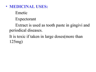 • MEDICINAL USES:
Emetic
Expectorant
Extract is used as tooth paste in gingivi and
periodical diseases.
It is toxic if taken in large doses(more than
125mg)
 