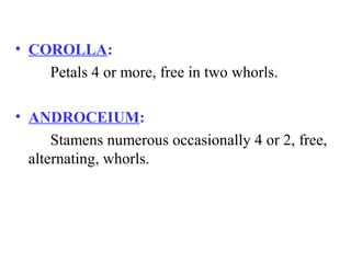 • COROLLA:
Petals 4 or more, free in two whorls.
• ANDROCEIUM:
Stamens numerous occasionally 4 or 2, free,
alternating, whorls.
 