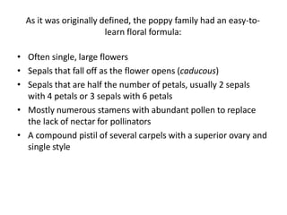 papaveraceae.pptx