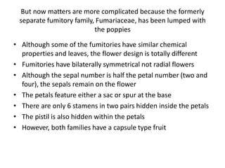 papaveraceae.pptx