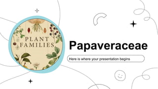 Papaveraceae
Here is where your presentation begins
 