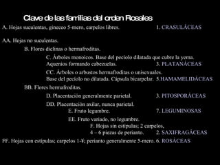 Clave de las familias del orden Rosales A. Hojas suculentas, gineceo 5-mero, carpelos libres.  1.  CRASULÁCEAS AA. Hojas no suculentas. B. Flores diclinas o hermafroditas. C. Árboles monoicos. Base del pecíolo dilatada que cubre la yema.  Aquenios formando cabezuelas. 3.  PLATANÁCEAS CC. Árboles o arbustos hermafroditas o unisexuales. Base del pecíolo no dilatada. Cápsula bicarpelar. 5 .HAMAMELIDÁCEAS BB. Flores hermafroditas. D. Placentación generalmente parietal.  3.  PITOSPORÁCEAS DD. Placentación axilar, nunca parietal. E. Fruto legumbre.  7.  LEGUMINOSAS EE. Fruto variado, no legumbre. F. Hojas sin estípulas; 2 carpelos,  4 – 6 piezas de perianto. 2.  SAXIFRAGÁCEAS FF. Hojas con estípulas; carpelos 1-¥; perianto generalmente 5-mero. 6.  ROSÁCEAS 