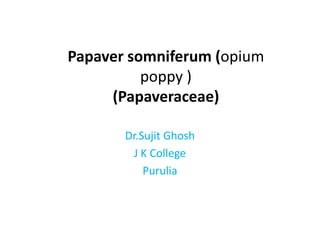 Papaver somniferum (opium
poppy )
(Papaveraceae)
Dr.Sujit Ghosh
J K College
Purulia
 