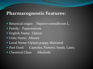 Pharmacognostic Features:
 Botanical origin: Papaver somniferum L.
 Family: Papaveraceae
 English Name: Opium
 Urdu Name: Afewen
 Local Name: Opium poppy, Mawseed
 Part Used: Capsules, Flowers, Seeds, Latex.
 Chemical Class: Alkaloids
 