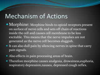 Mechanism of Actions
 Morphine: Morphine binds to opioid receptors present
on surface of nerve cells and sets off chain of reactions
inside the cell and causes cell membrane to be less
excitable. This means that the nerve impulses are not
generated as the nerve cell becomes sluggish.
 It can also dull pain by silencing nerves in spine that carry
pain signals.
 Also effects in pain processing areas of brain.
 Therefore morphine causes analgesia, drowsiness,euphoria,
respiratory depression,nausea, depressed cough reflex.
 