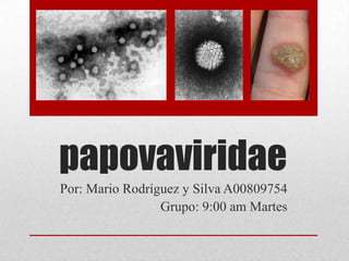 papovaviridae
Por: Mario Rodríguez y Silva A00809754
                 Grupo: 9:00 am Martes
 