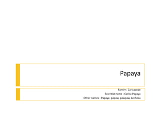 Papaya
Family : Caricaceae
Scientist name : Carica Papaya
Other names : Papaye, papaw, pawpaw, Lechosa
 