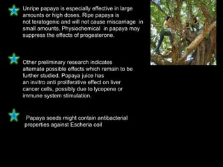 Unripe papaya is especially effective in large
amounts or high doses. Ripe papaya is
not teratogenic and will not cause miscarriage in
small amounts. Physiochemical in papaya may
suppress the effects of progesterone.
Other preliminary research indicates
alternate possible effects which remain to be
further studied. Papaya juice has
an invitro anti proliferative effect on liver
cancer cells, possibly due to lycopene or
immune system stimulation.
Papaya seeds might contain antibacterial
properties against Escheria coil
 