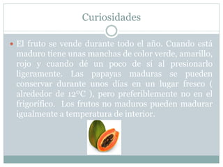 Curiosidades
 El fruto se vende durante todo el año. Cuando está
maduro tiene unas manchas de color verde, amarillo,
rojo y cuando dé un poco de sí al presionarlo
ligeramente. Las papayas maduras se pueden
conservar durante unos días en un lugar fresco (
alrededor de 12ºC ), pero preferiblemente no en el
frigorífico. Los frutos no maduros pueden madurar
igualmente a temperatura de interior.
 