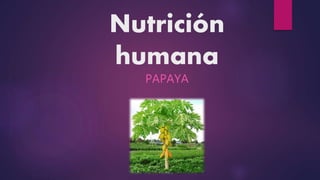 Nutrición
humana
PAPAYA
 