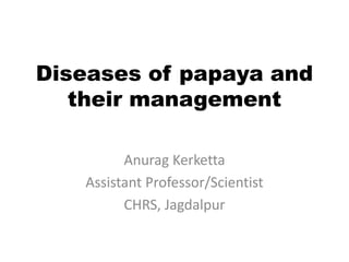 Diseases of papaya and
their management
Anurag Kerketta
Assistant Professor/Scientist
CHRS, Jagdalpur
 