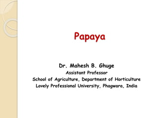 Papaya
Dr. Mahesh B. Ghuge
Assistant Professor
School of Agriculture, Department of Horticulture
Lovely Professional University, Phagwara, India
 