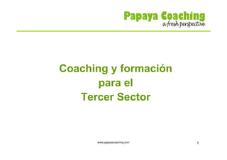Coaching y formación
      para el
   Tercer Sector


      www.papayacoaching.com   1
 