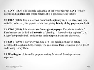 11. CO-3 (1983): It is a hybrid derivative of the cross between CO-2 (female
parent) and Sunrise Solo (male parent). It is a gynodioecious variety.
12. CO-5 (1985): It is a selection from Washington type. It is a dioecious type
suitable exclusively for papain production giving 14.45g of dry papain per fruit.
13. CO-6 (1986): It is a selection from a giant papaya. The plants are dwarf.
First harvest can be had in 8 months of planting. It is suitable for papain (7.5 to
8.0g of dry papain/fruit) and also for table purpose. Plants are dioecious.
14. CO-7 (1997): This variety (culture CP81) is gynodioecious in nature
developed through multiple crosses. The parents are Pusa Delicious, CO-3, CP.75
and Coorg Honey Dew.
15. Washington: It is a table purpose variety. Male and female plants are
seperate.
devrajrpd@gmail.com 13
 