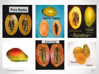 devrajrpd@gmail.com 17
 