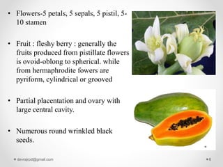 • Flowers-5 petals, 5 sepals, 5 pistil, 5-
10 stamen
• Fruit : fleshy berry : generally the
fruits produced from pistillate flowers
is ovoid-oblong to spherical. while
from hermaphrodite fowers are
pyriform, cylindrical or grooved
• Partial placentation and ovary with
large central cavity.
• Numerous round wrinkled black
seeds.
devrajrpd@gmail.com 6
 