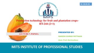 Production technology for fruit and plantation crops-
HT-244 (2+1)
PRESENTED BY:
RAKESH KUMAR PATTNAIK
Asst. Prof. Horticulture
MITS INSTITUTE OF PROFESSIONAL STUDIES
Dt- 20-05-20
LECTURE 7. PAPAYA
 