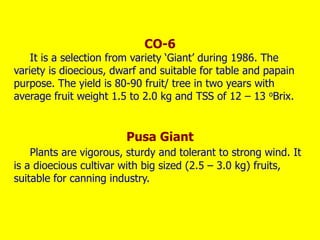 CO-6
It is a selection from variety ‘Giant’ during 1986. The
variety is dioecious, dwarf and suitable for table and papain
purpose. The yield is 80-90 fruit/ tree in two years with
average fruit weight 1.5 to 2.0 kg and TSS of 12 – 13 oBrix.
Pusa Giant
Plants are vigorous, sturdy and tolerant to strong wind. It
is a dioecious cultivar with big sized (2.5 – 3.0 kg) fruits,
suitable for canning industry.
 