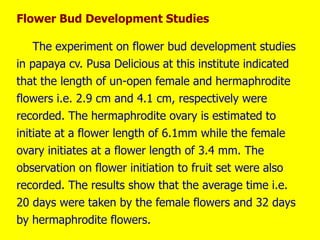 Flower Bud Development Studies
The experiment on flower bud development studies
in papaya cv. Pusa Delicious at this institute indicated
that the length of un-open female and hermaphrodite
flowers i.e. 2.9 cm and 4.1 cm, respectively were
recorded. The hermaphrodite ovary is estimated to
initiate at a flower length of 6.1mm while the female
ovary initiates at a flower length of 3.4 mm. The
observation on flower initiation to fruit set were also
recorded. The results show that the average time i.e.
20 days were taken by the female flowers and 32 days
by hermaphrodite flowers.
 
